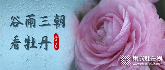 莫尼集成灶：今日谷雨，萬物生長宜播種，宜吃春！