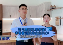 廚電集成灶哪家強？來看看浙派集成灶的企業(yè)實力！ (1684播放)