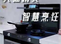 佳歌智能新品A7ZK集成灶——智享烹飪，讓生活更美味！ (1005播放)