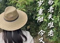 【重陽節(jié)桂花糕】“桂花雨”落在松軟的米糕上，連著桂花蜜的甜味融化在舌尖上，這份獨屬于秋天的歡迎儀式，連帶著重陽節(jié)的獻(xiàn)禮一起和大家分享！ (1925播放)